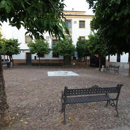 Calle Abejar,Plaza Cordoue Extérieur photo